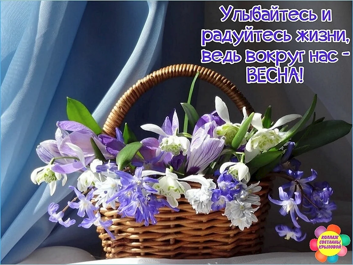 Примула первоцвет весенний букет