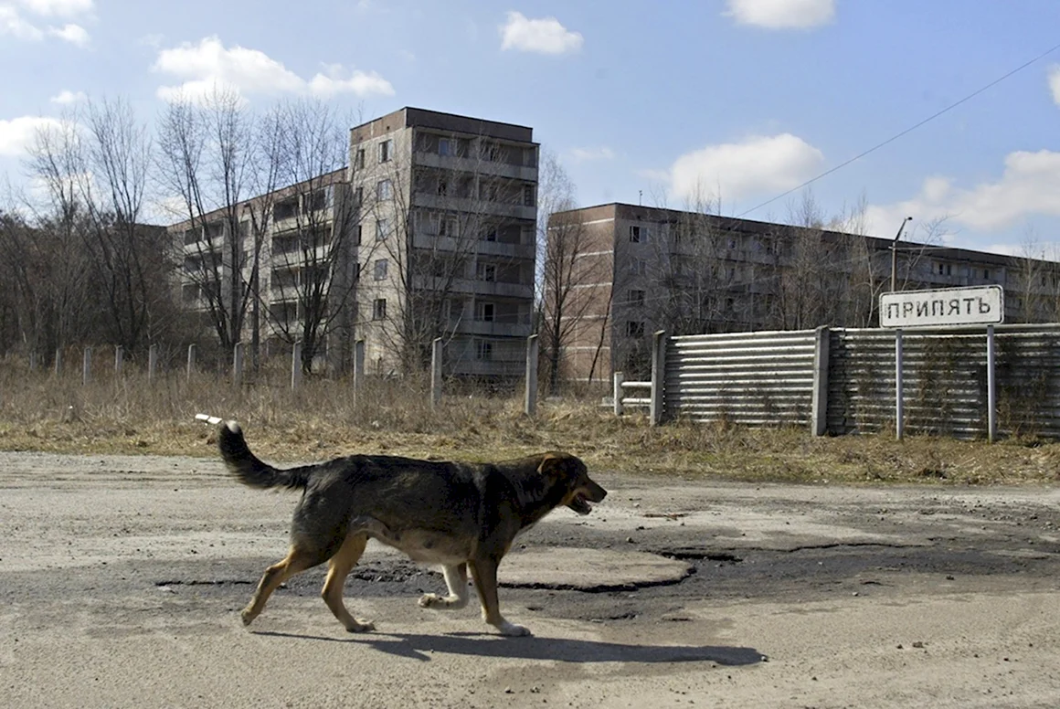 Припять Чернобыль ЧАЭС зона отчуждения