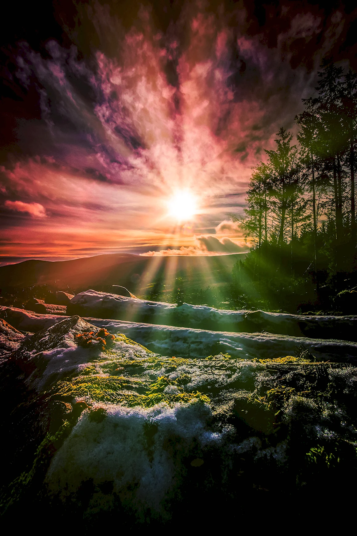 Природа