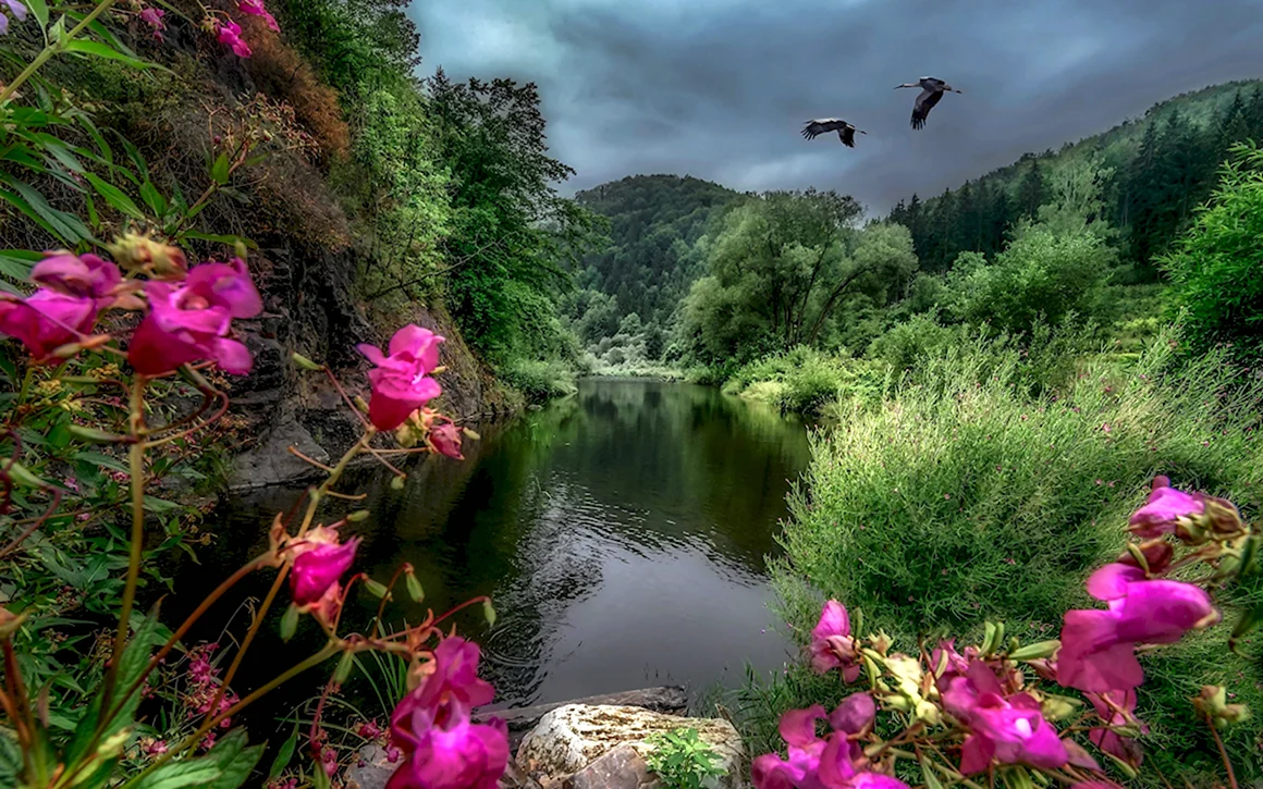Природа