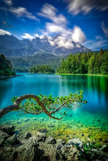 Природа