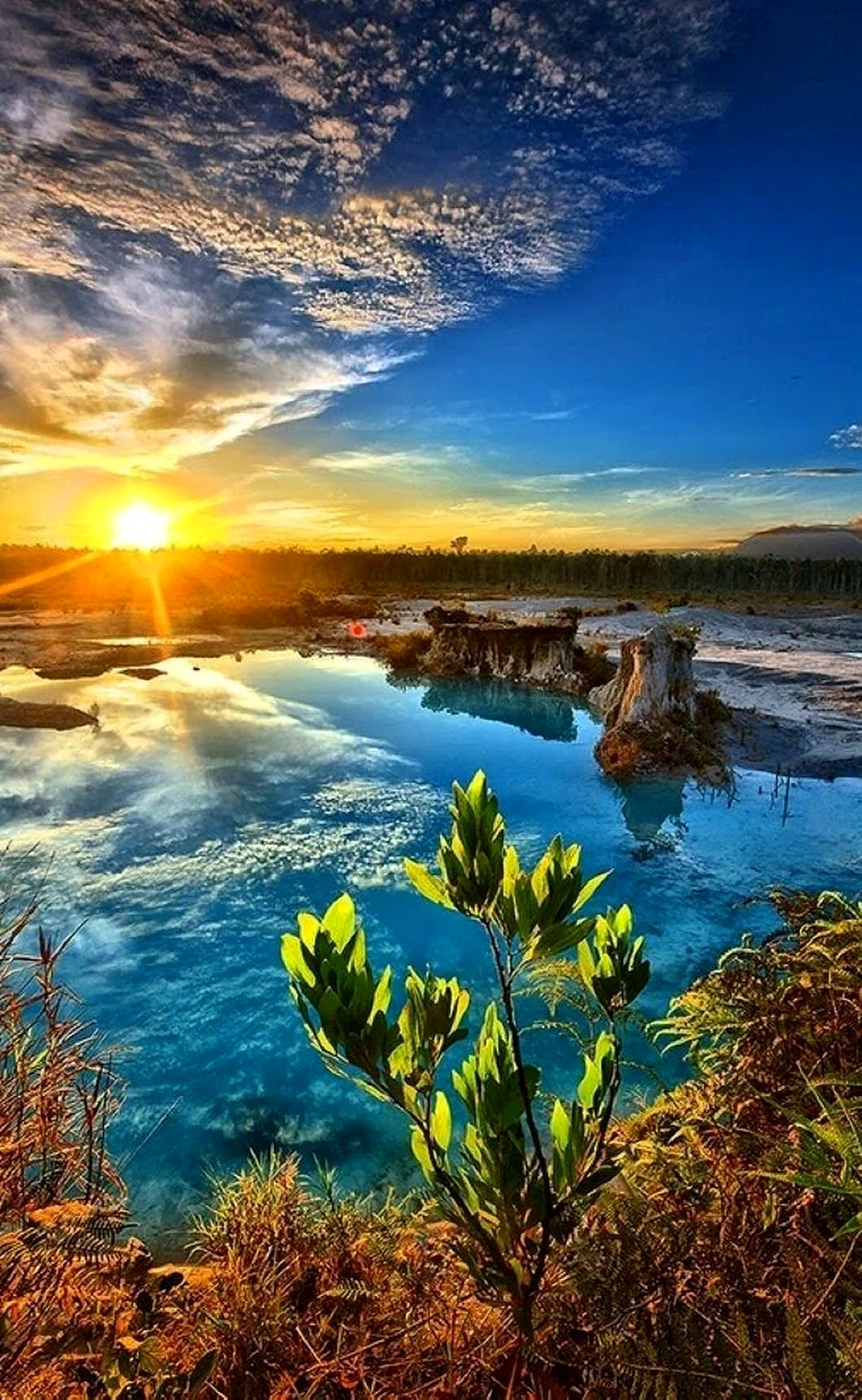 Природа