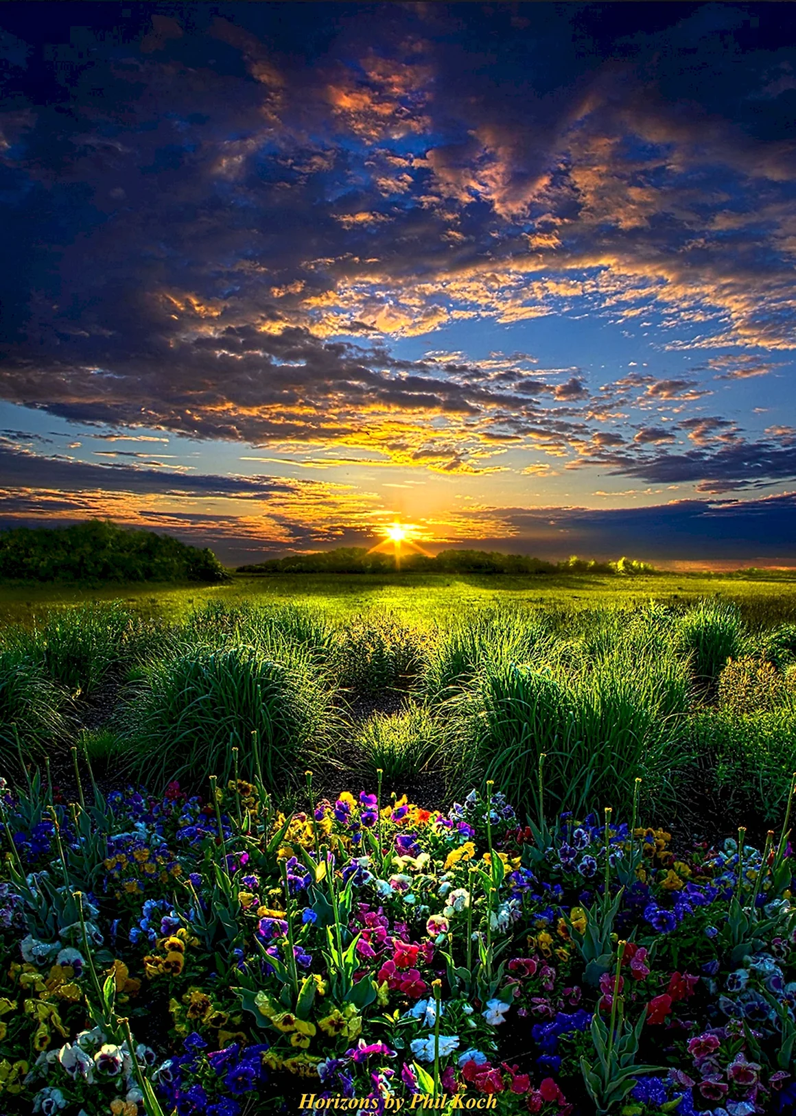 Природа