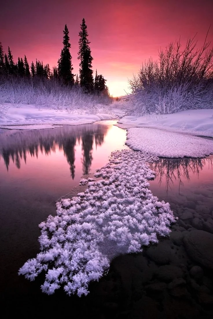 Природа