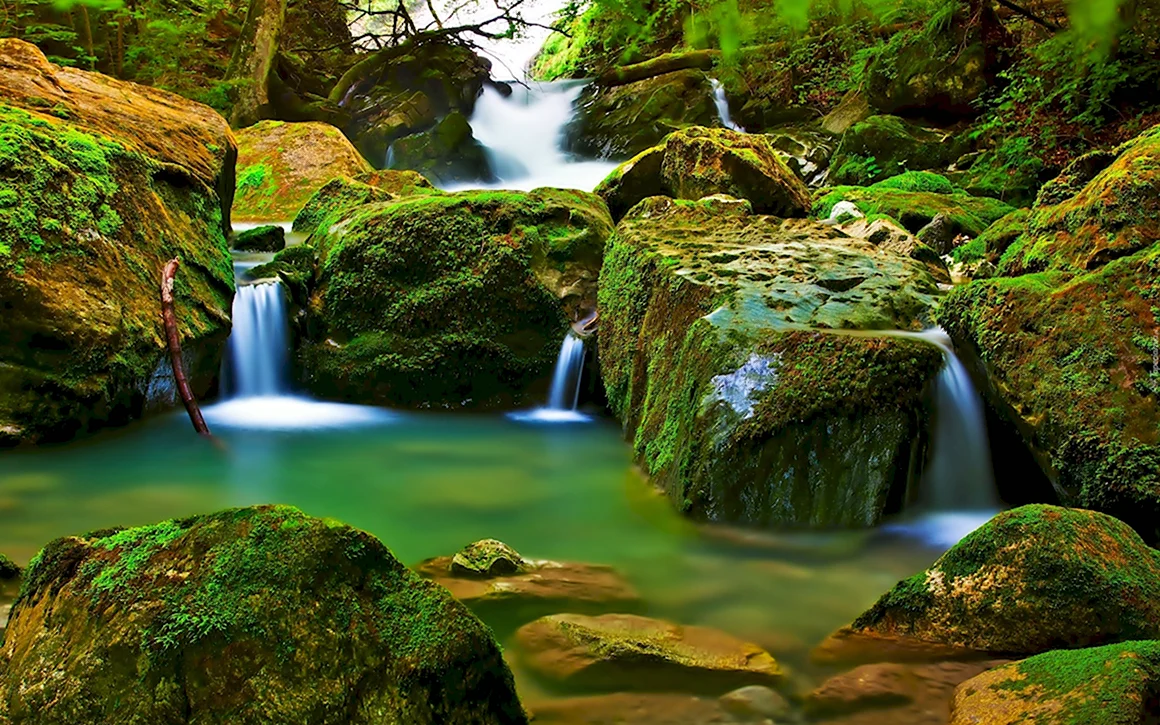 Природа