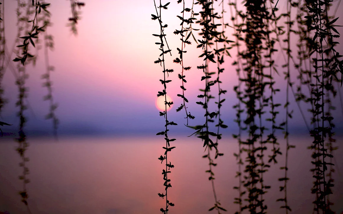 Природа