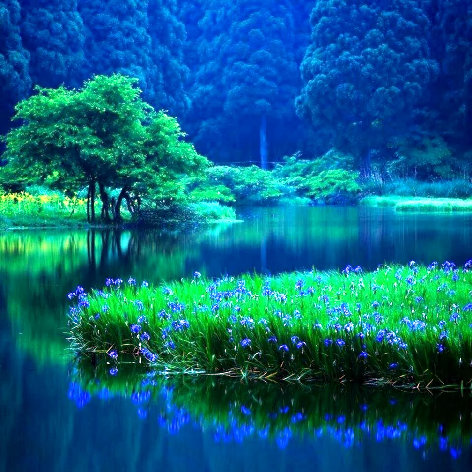 Природа