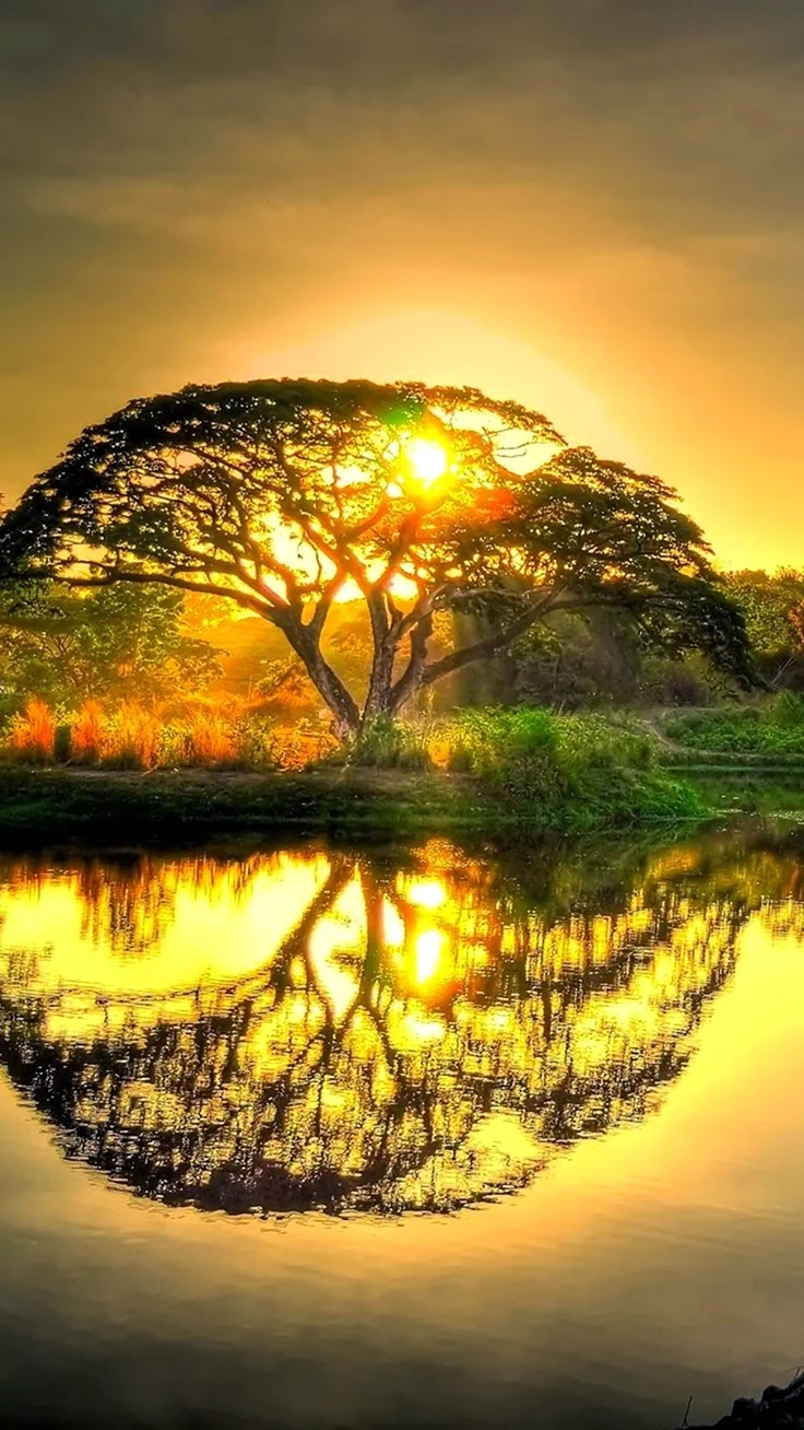 Природа