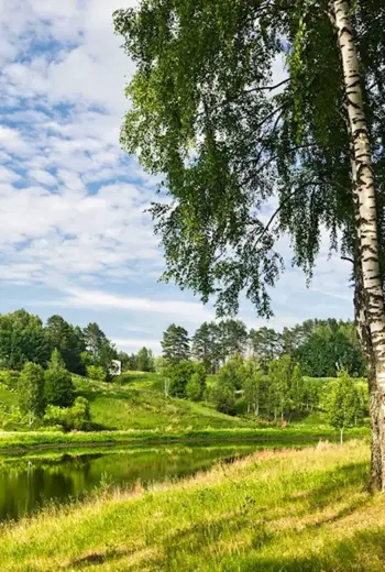 Природа деревня речка Березки