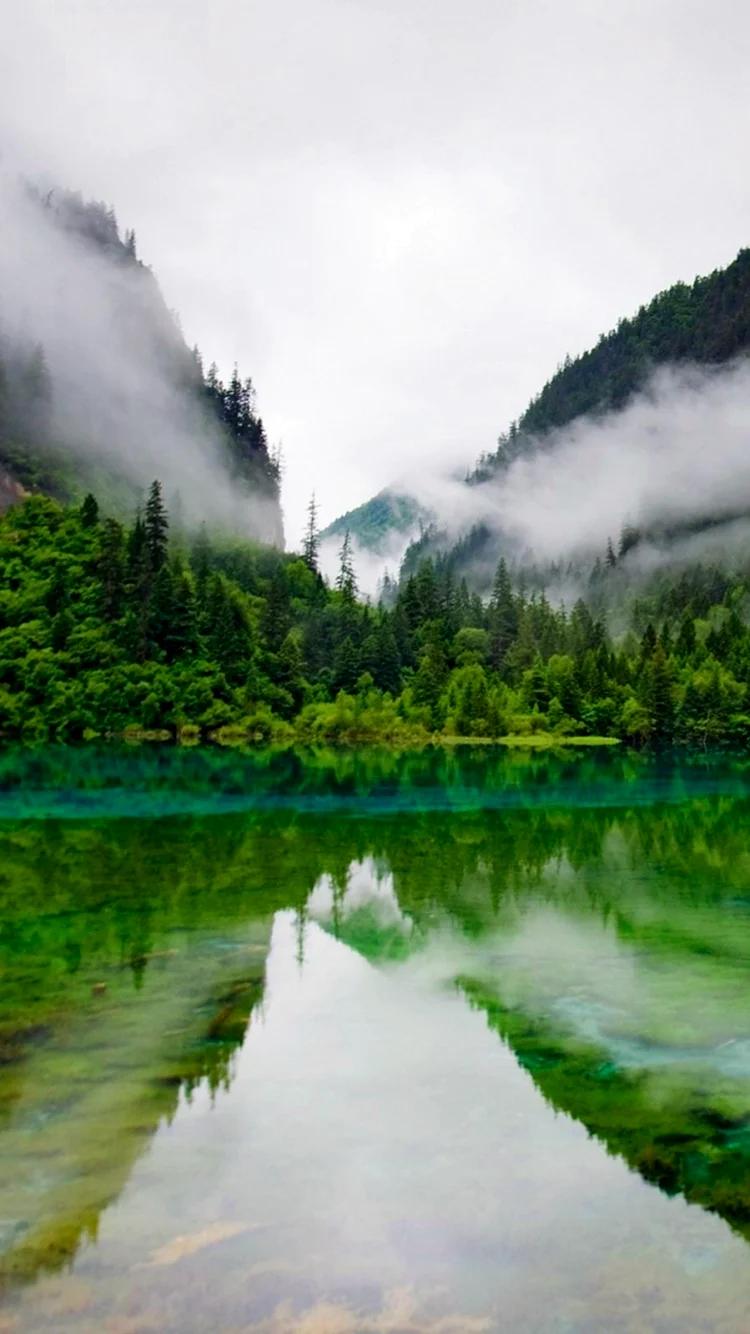 Природа для айфона