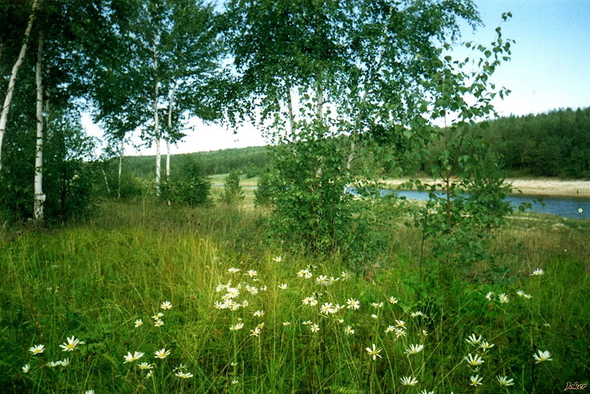 Природа Якутии Алаас