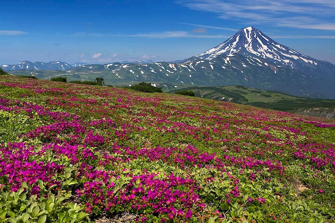 Природа Камчатки Петропавловск Камчатский