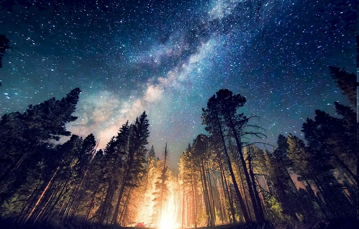 Природа космос