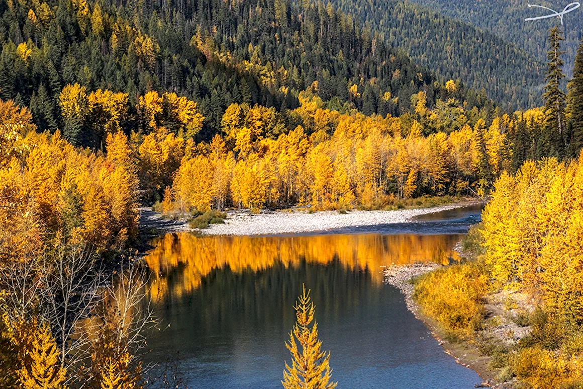 Природа Кузбасса осень