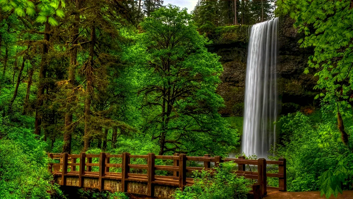 Природа лес водопад