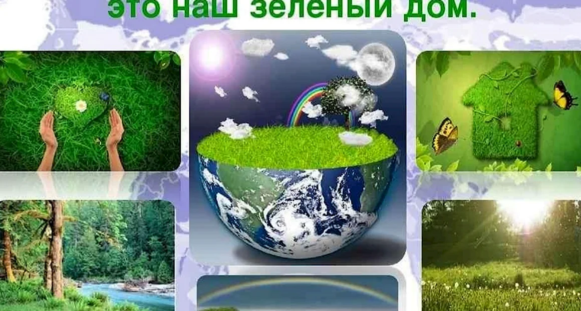 Природа наш дом