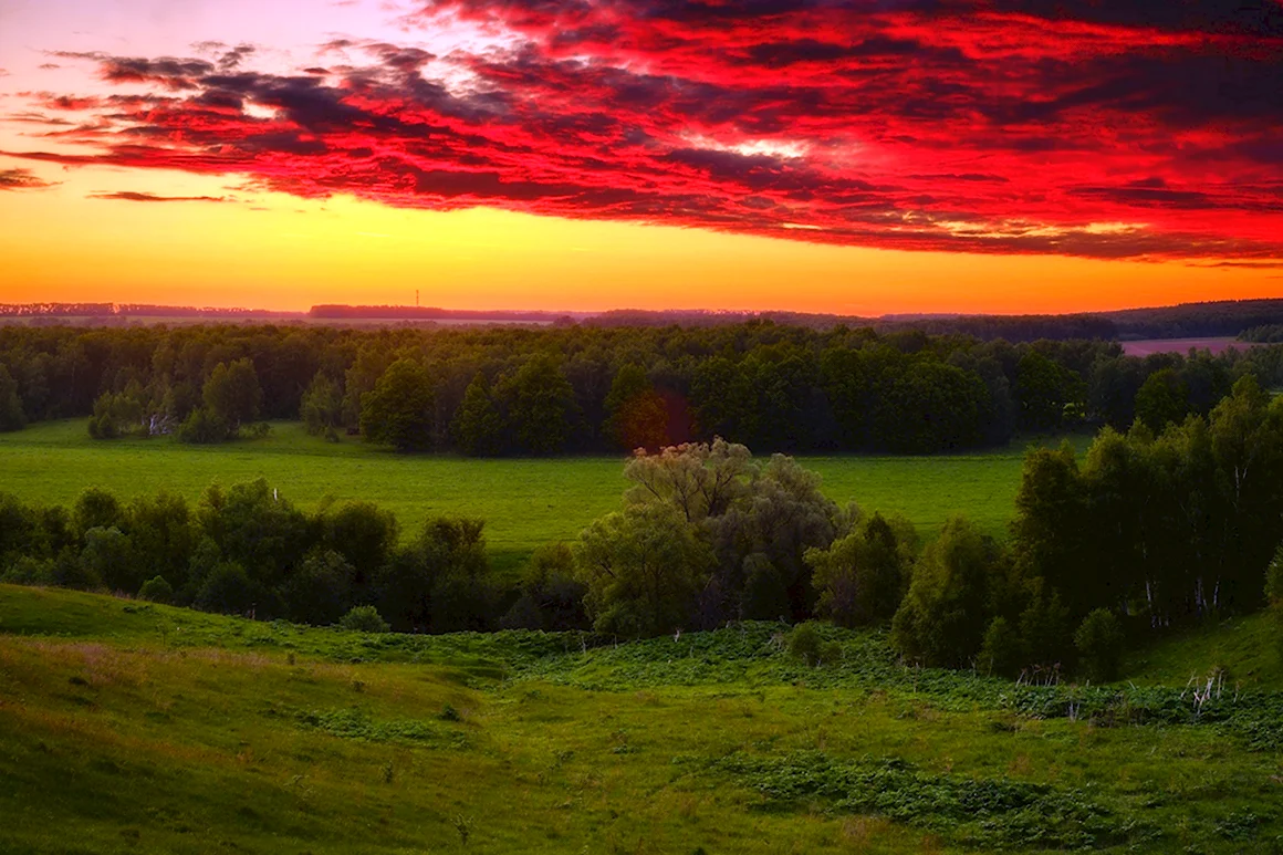 Природа родного края