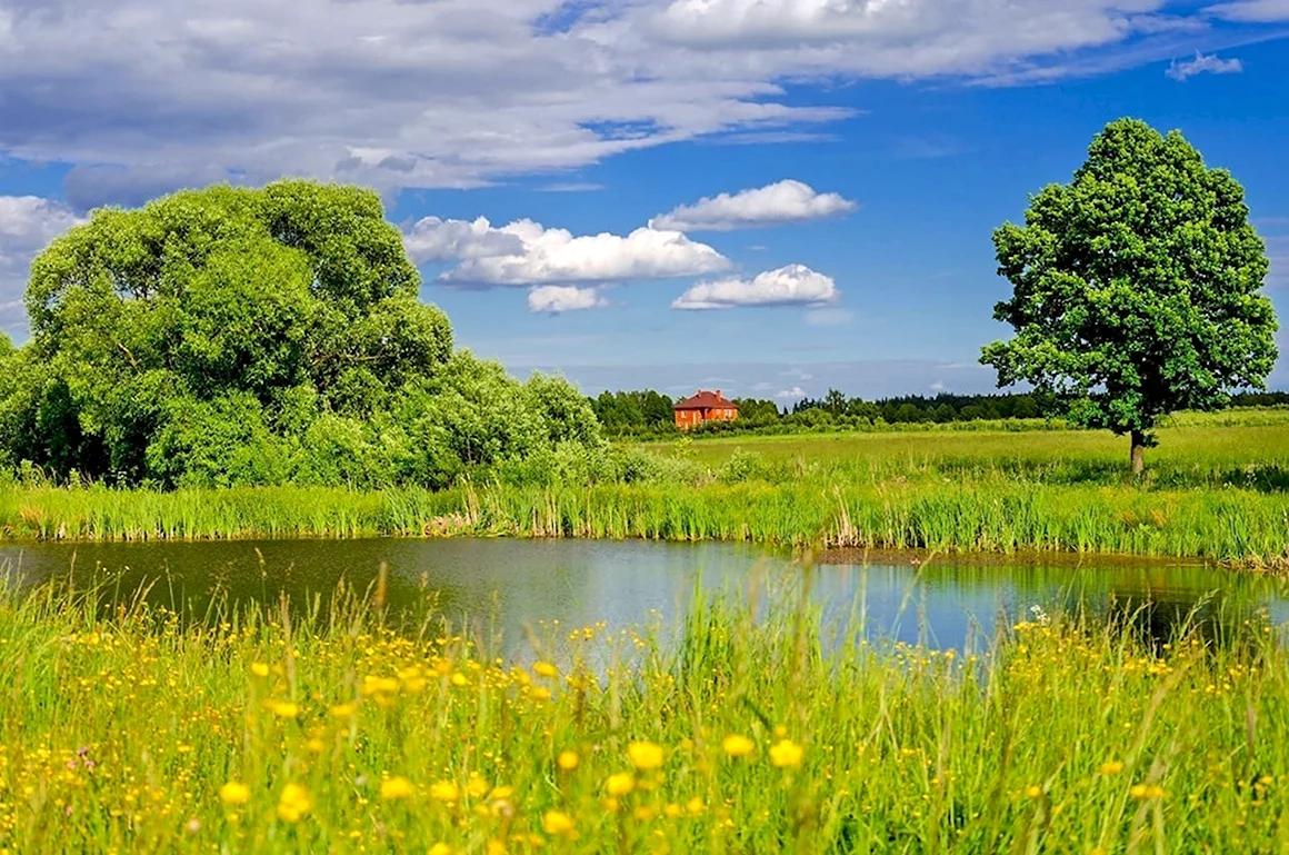 Природа родного края