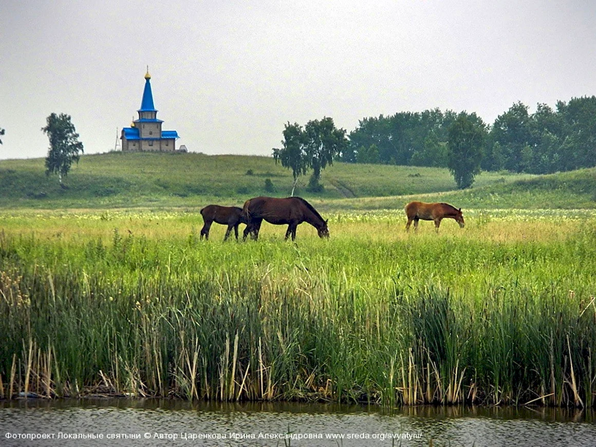 Природа родного края