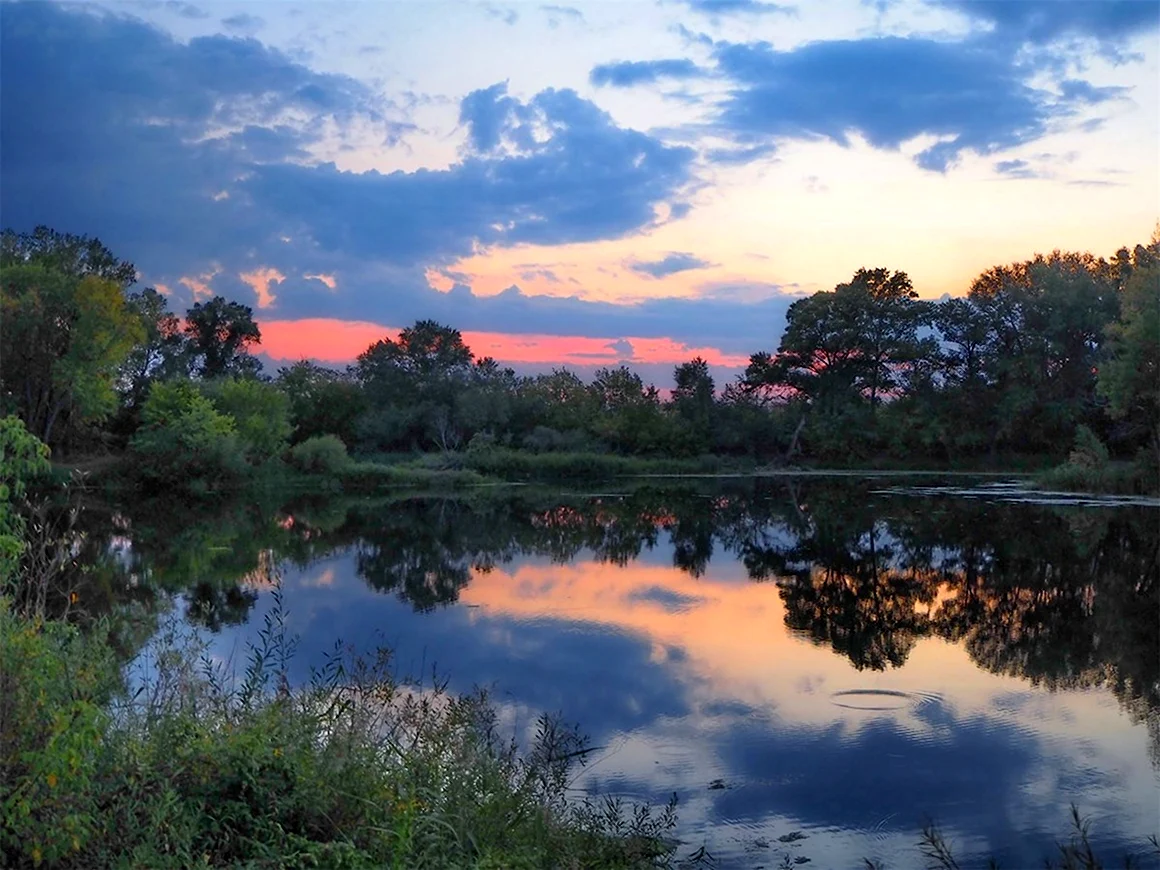 Природа родного края