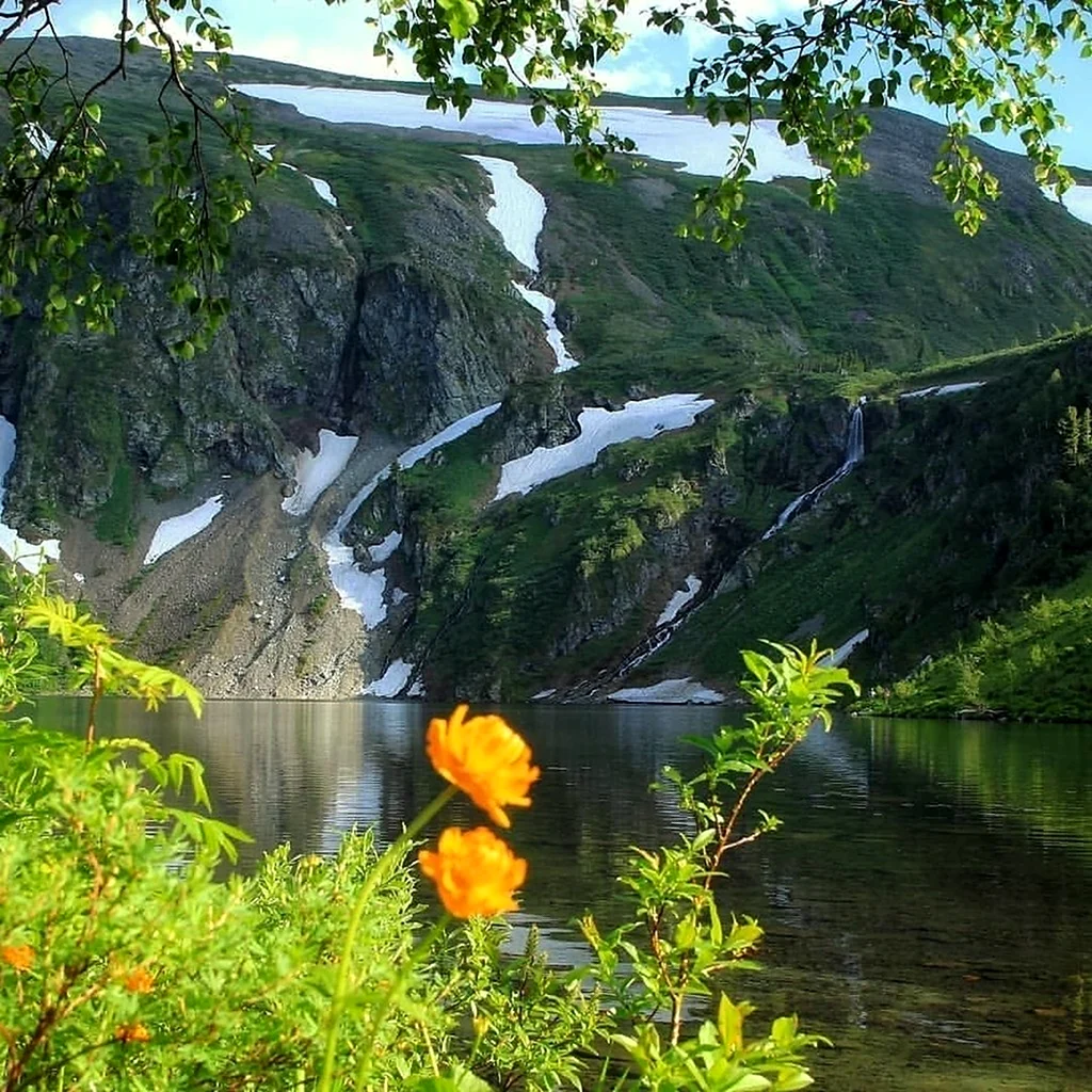 Природа Сибири