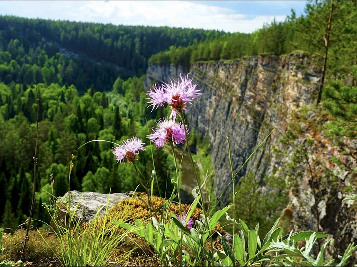 Природа УРАО Южного Урала