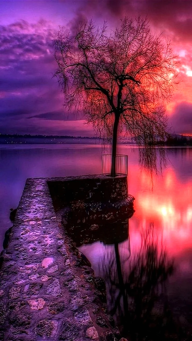 Природа вечер