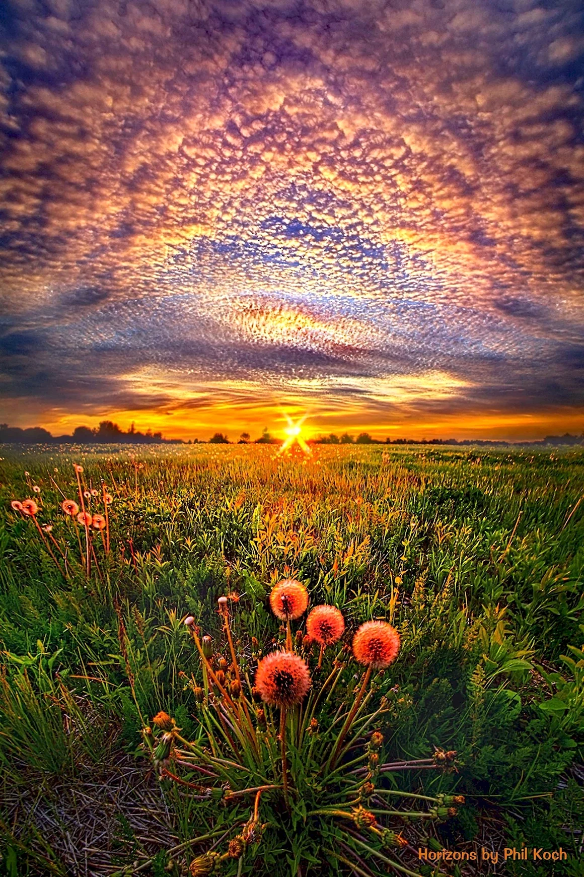Природа закат