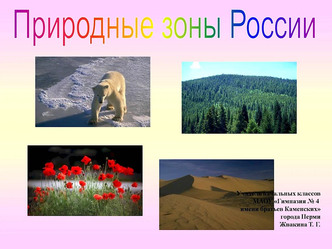 Природные зоны России