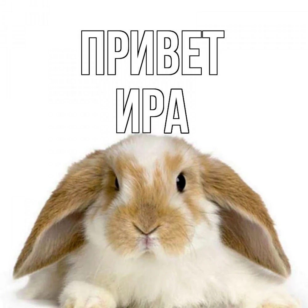 Привет алёна