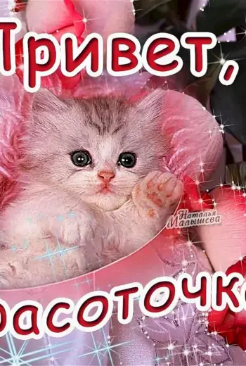 Привет красотуля