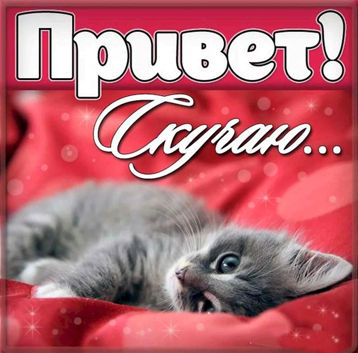 Привет любимый