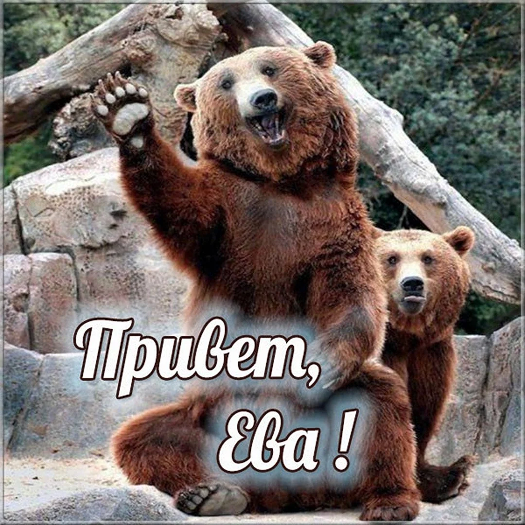 Привет Паша