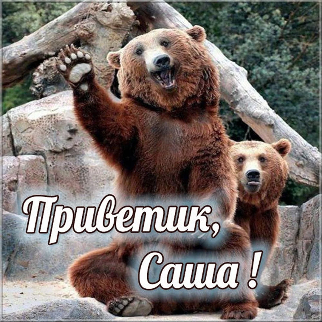 Привет Паша