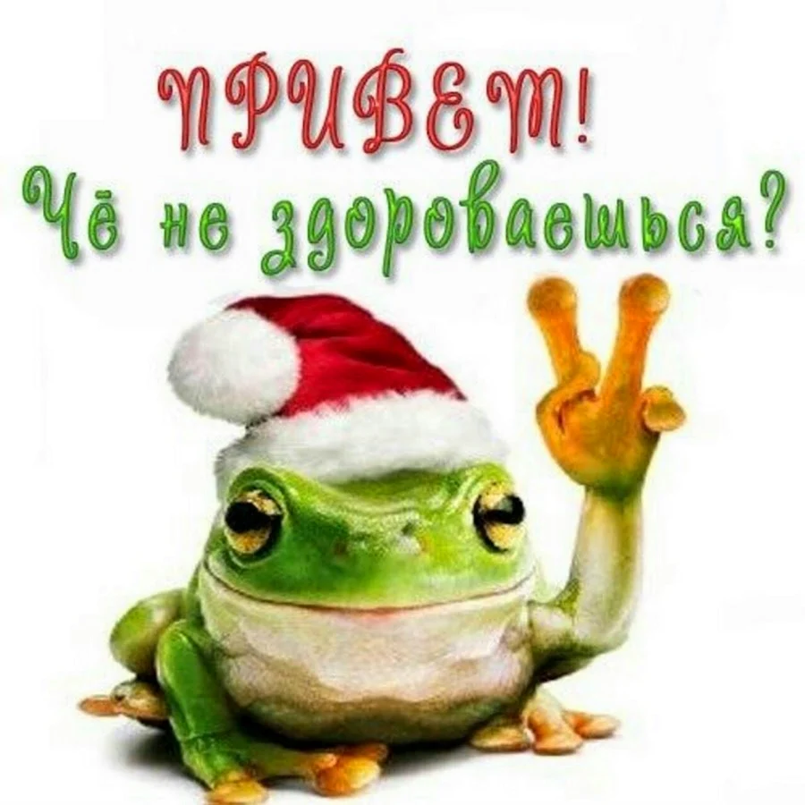 Привет прикольные