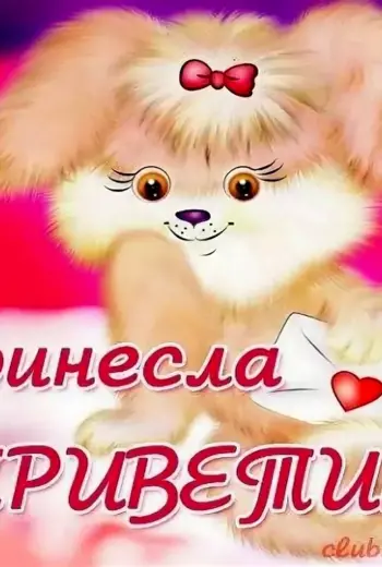 Приветик любимому мужчине