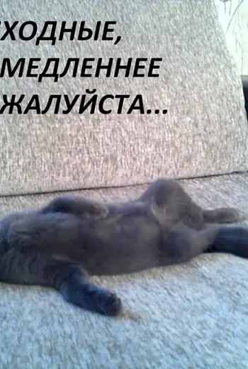 Про выходные смешные