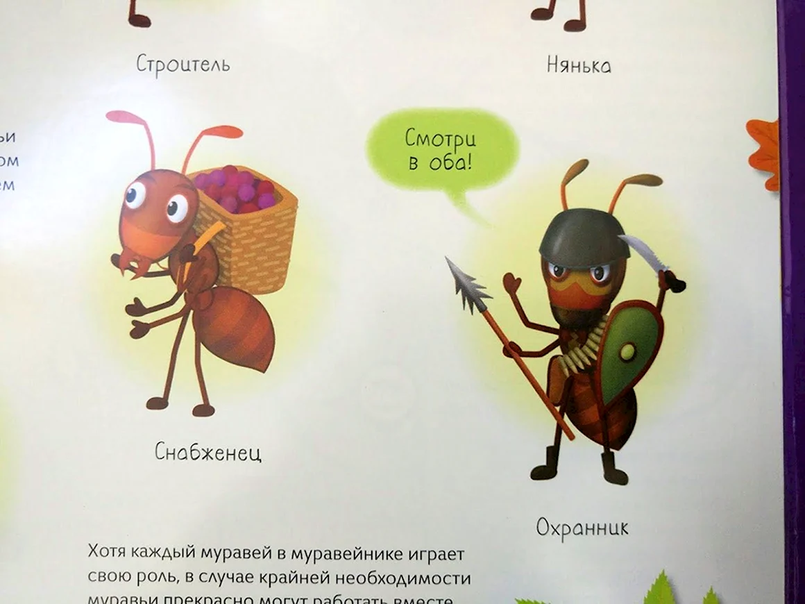 Профессии муравьев