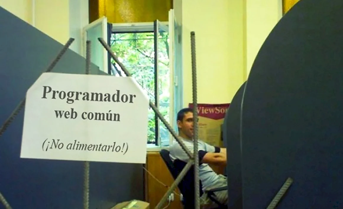 Программистов не кормить