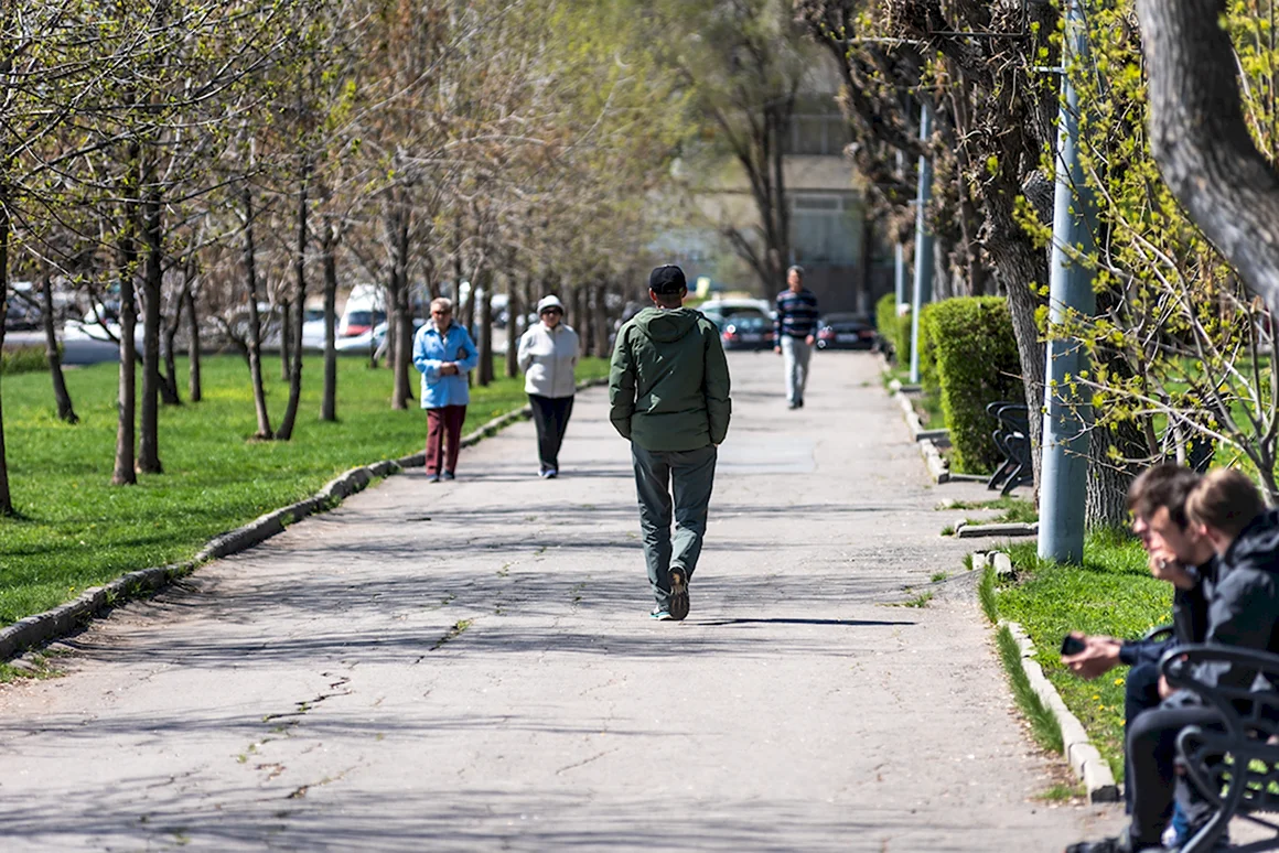 Прогулки по городу