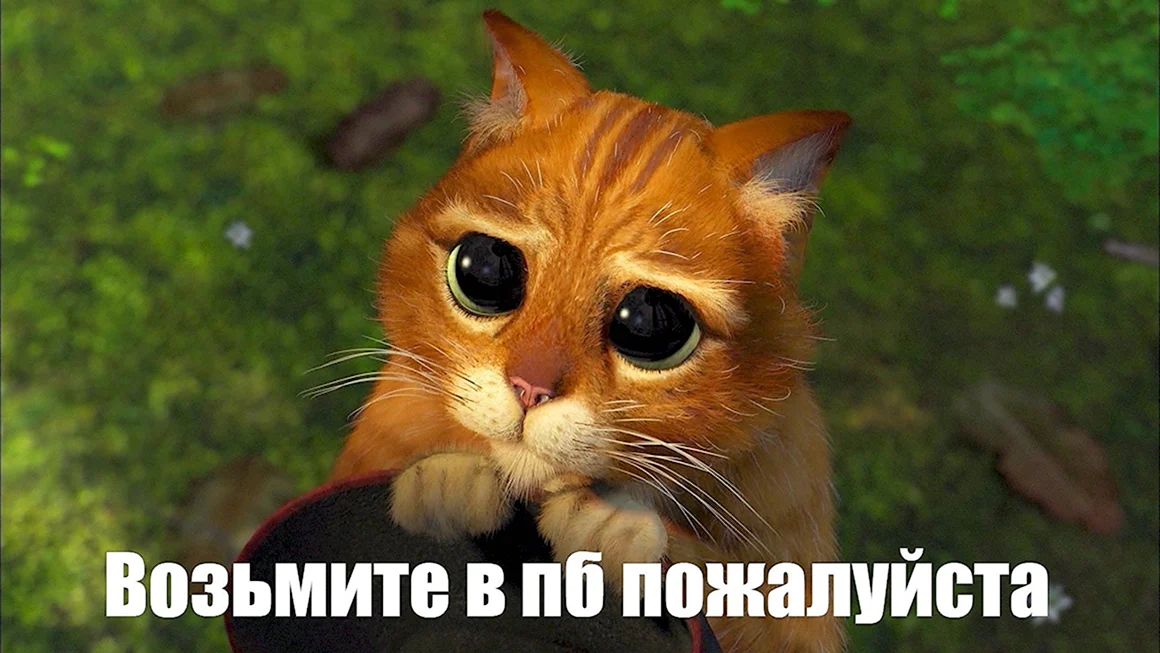 Просящий кот из Шрека