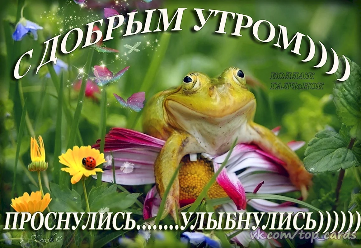 Проснулись УЛЫБНУЛИСЬ