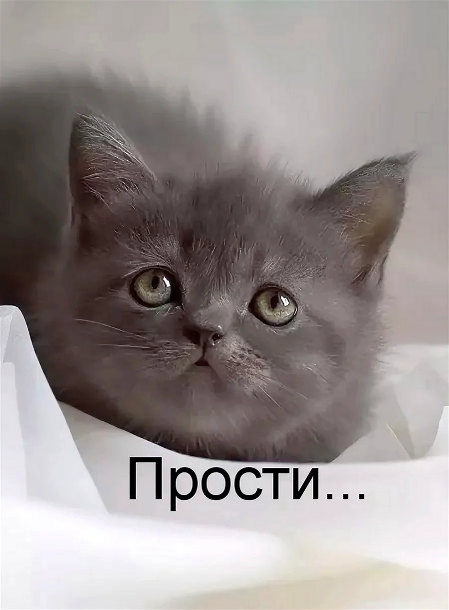 Прости меня
