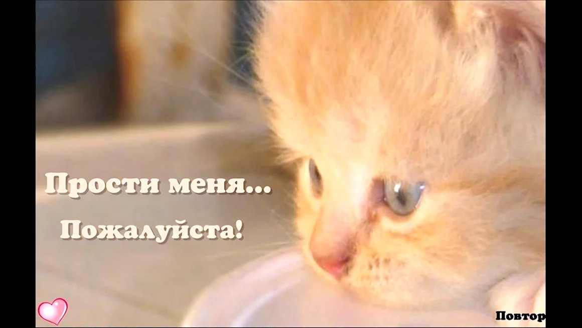 Прости меня пожалуйста