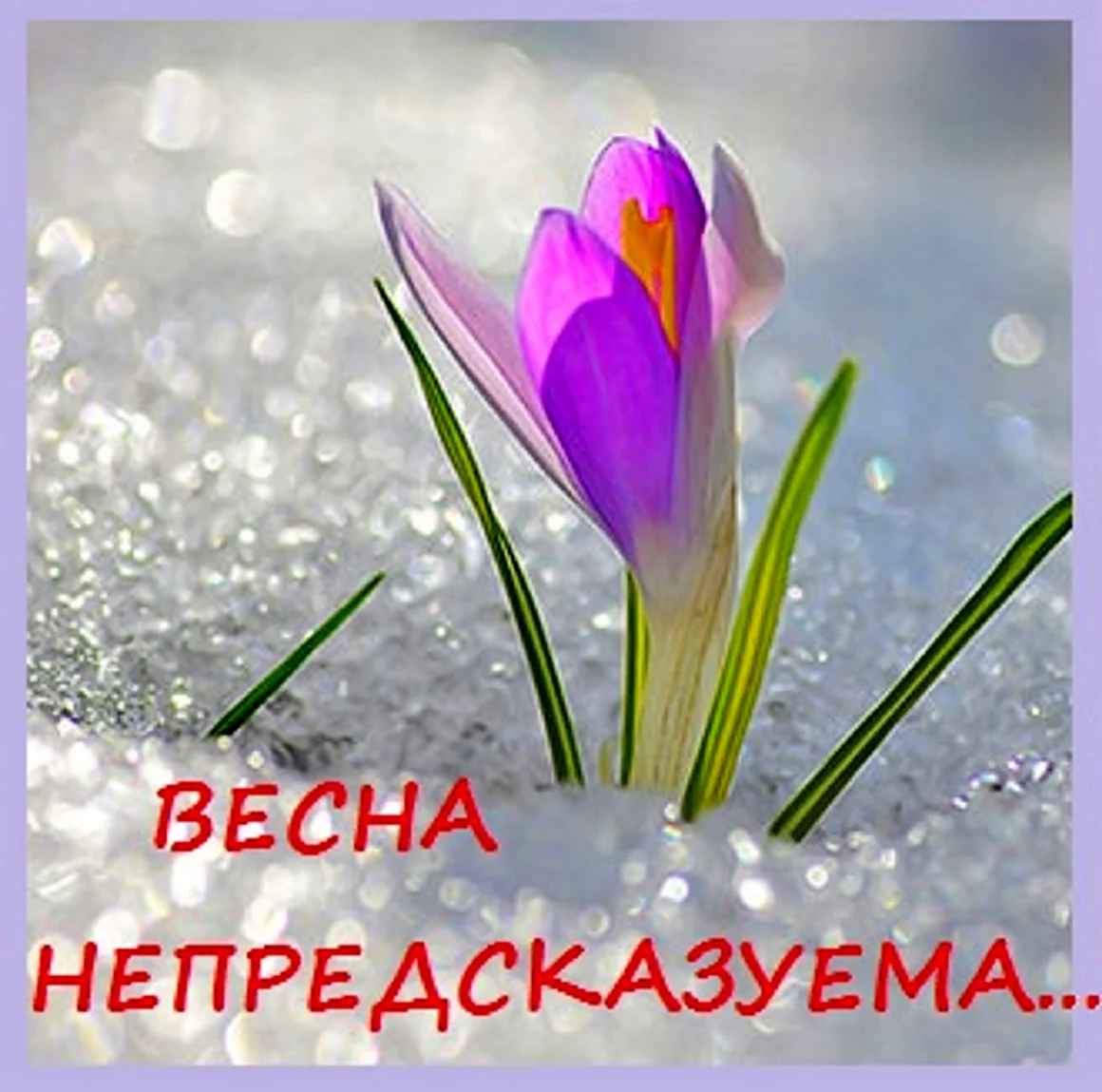 Просто Весна
