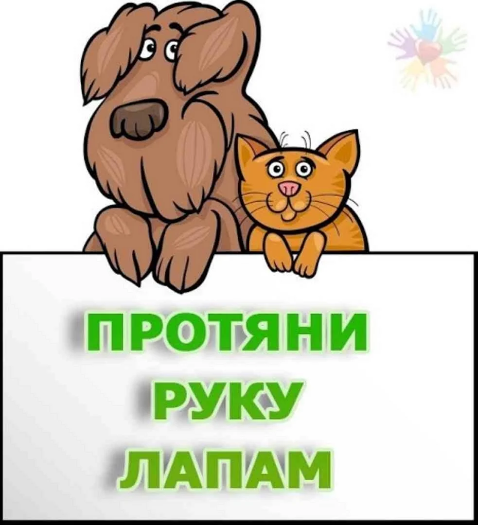 Протяни руку лапам
