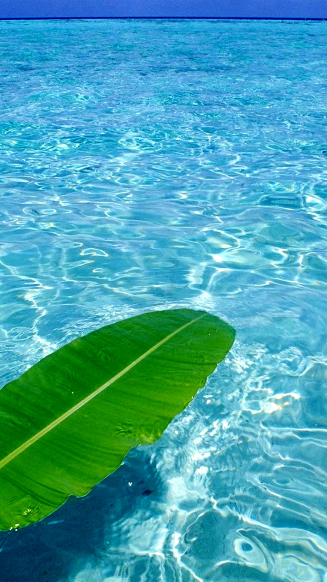 Прозрачное море