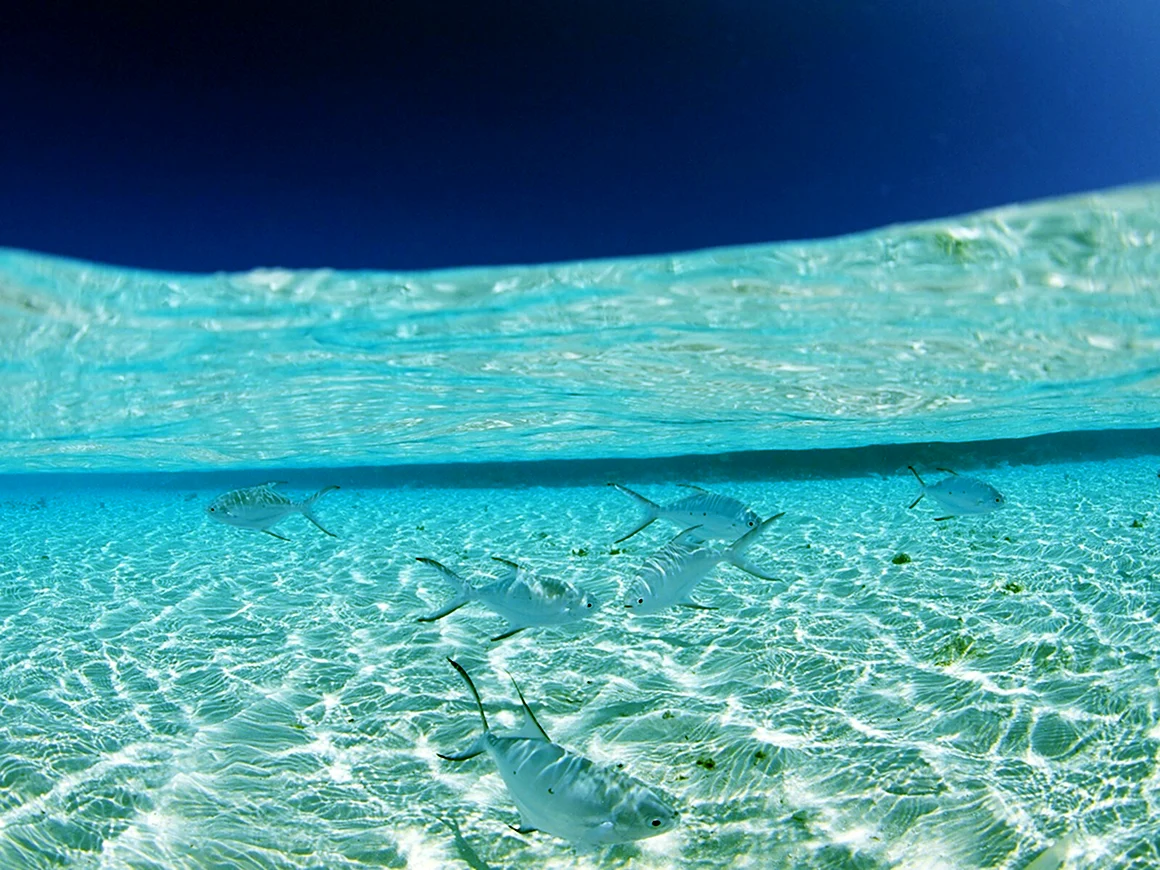 Прозрачное море