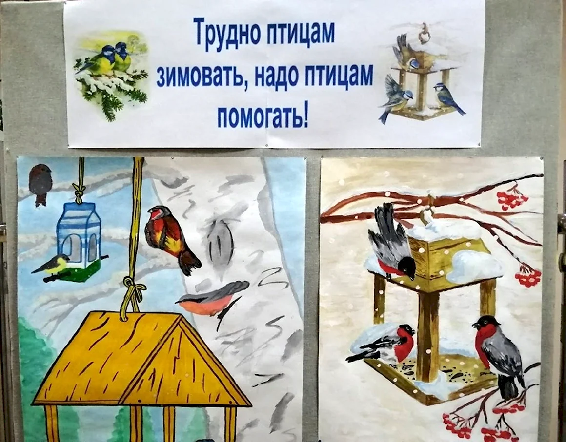 Птичья столовая