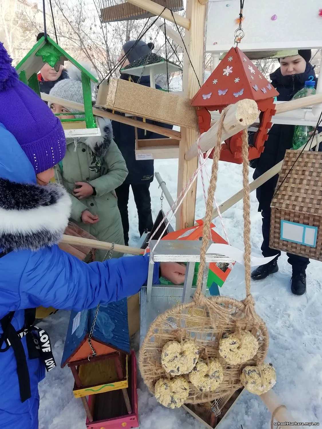 Птичья столовая